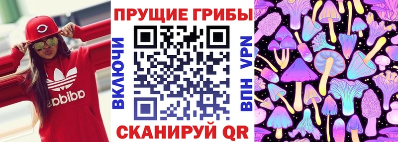 Псилоцибиновые грибы Psilocybine cubensis  магазин    Ачинск 